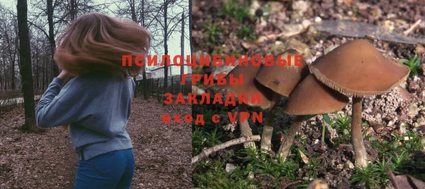 кокс Армянск